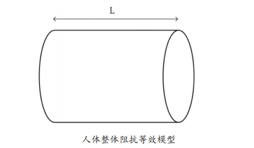 脂的？数据准确吗？一起来了解开元棋牌体脂秤是怎么测出体(图5)
